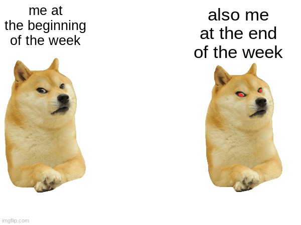it's school. how else do you explain it? | me at the beginning of the week; also me at the end of the week | image tagged in school,doge,cheems,whatever,oh wow are you actually reading these tags | made w/ Imgflip meme maker