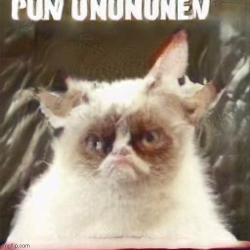 Funny cat | made w/ Imgflip meme maker