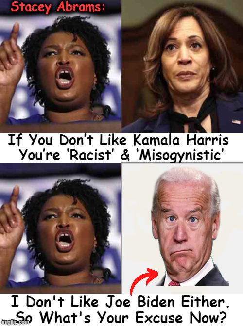 Ignorance & Incompetence Might Have a Little Something To Do With It, Stacey. | Stacey Abrams:; If You Don’t Like Kamala Harris 
You’re ‘Racist’ & ‘Misogynistic’; I Don't Like Joe Biden Either.

So What's Your Excuse Now? | image tagged in politics,joe biden,kamala harris,stacey abrams,race card,political humor | made w/ Imgflip meme maker