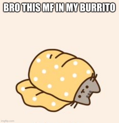 Pusheen cat in a burrito | BRO THIS MF IN MY BURRITO | image tagged in pusheen cat in a burrito | made w/ Imgflip meme maker
