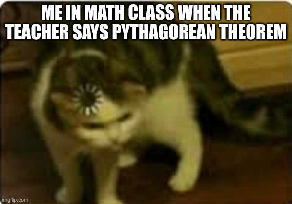 Buffering cat | ME IN MATH CLASS WHEN THE TEACHER SAYS PYTHAGOREAN THEOREM | image tagged in buffering cat | made w/ Imgflip meme maker