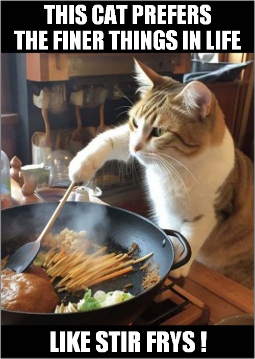 Cats Can Be Fussy Eaters ! | THIS CAT PREFERS
THE FINER THINGS IN LIFE; LIKE STIR FRYS ! | image tagged in cats,cooking,stir fry | made w/ Imgflip meme maker