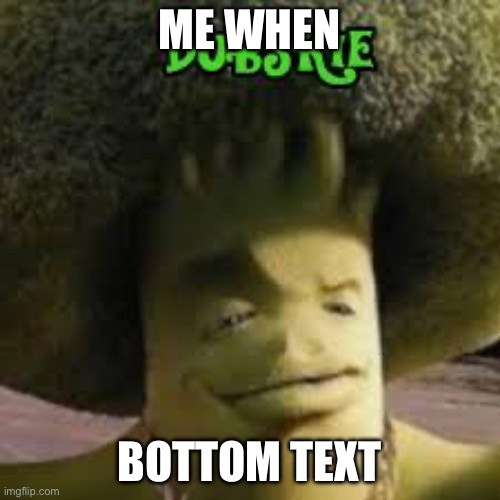 Broc | ME WHEN; BOTTOM TEXT | image tagged in broc | made w/ Imgflip meme maker