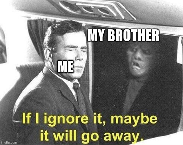 Ignore it go away | MY BROTHER; ME | image tagged in ignore it go away | made w/ Imgflip meme maker