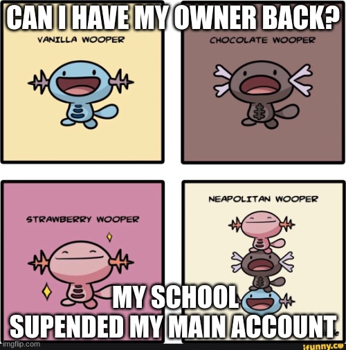 WOOPER | CAN I HAVE MY OWNER BACK? MY SCHOOL SUPENDED MY MAIN ACCOUNT | image tagged in wooper | made w/ Imgflip meme maker
