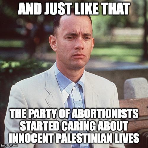 AND JUST LIKE THAT; THE PARTY OF ABORTIONISTS STARTED CARING ABOUT INNOCENT PALESTINIAN LIVES | image tagged in and just like that | made w/ Imgflip meme maker