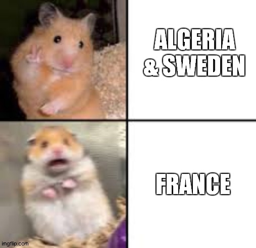 sweden and algeria vs france | ALGERIA & SWEDEN; FRANCE | image tagged in scared hamster | made w/ Imgflip meme maker
