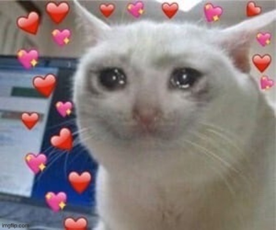 Crying cat with hearts | image tagged in crying cat with hearts | made w/ Imgflip meme maker