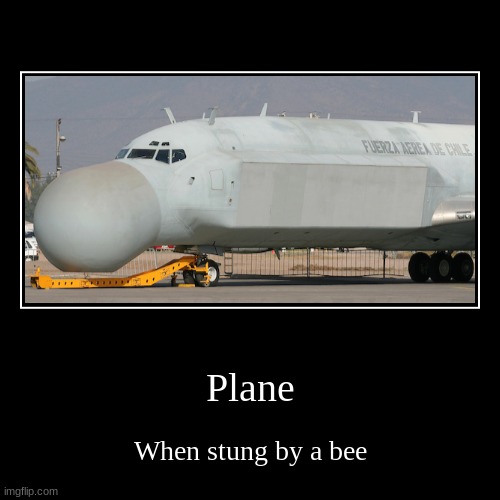Plane | When stung by a bee | image tagged in funny,demotivationals | made w/ Imgflip demotivational maker