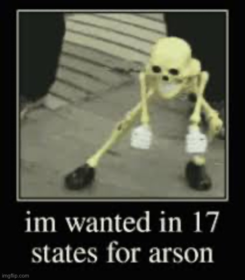 Gonna make it 18 | image tagged in 17 states,arson | made w/ Imgflip meme maker