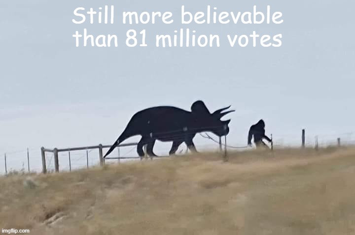 political | Still more believable than 81 million votes | image tagged in political humor | made w/ Imgflip meme maker