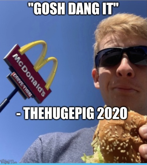 TheLargePig eating mcdonalds | "GOSH DANG IT" - THEHUGEPIG 2020 | image tagged in thelargepig eating mcdonalds | made w/ Imgflip meme maker