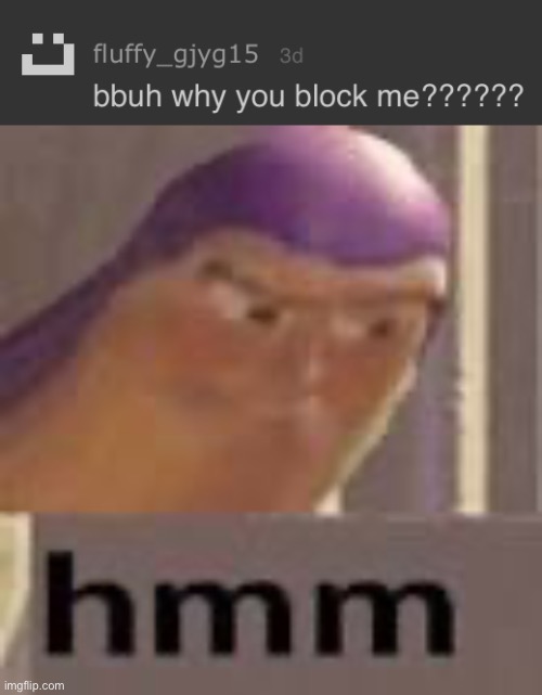 Wonder why | image tagged in hmm,bbuh,why did you block me,ahem,zoophile | made w/ Imgflip meme maker
