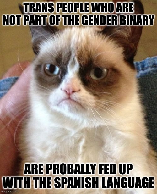 To be honest I would be too. | TRANS PEOPLE WHO ARE NOT PART OF THE GENDER BINARY; ARE PROBALLY FED UP WITH THE SPANISH LANGUAGE | image tagged in memes,grumpy cat | made w/ Imgflip meme maker
