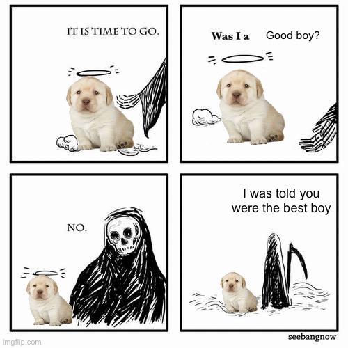 I broke your hearts | Good boy? I was told you were the best boy | image tagged in it is time to go,im crying,stop looking at me crying,stop reading the tags | made w/ Imgflip meme maker