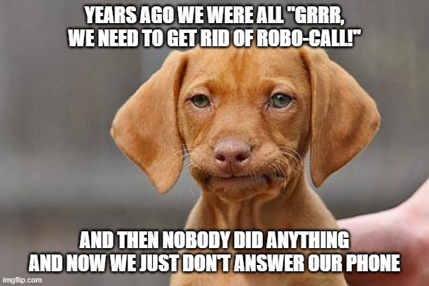 Dissapointed puppy | YEARS AGO WE WERE ALL "GRRR, WE NEED TO GET RID OF ROBO-CALL!"; AND THEN NOBODY DID ANYTHING AND NOW WE JUST DON'T ANSWER OUR PHONE | image tagged in dissapointed puppy | made w/ Imgflip meme maker