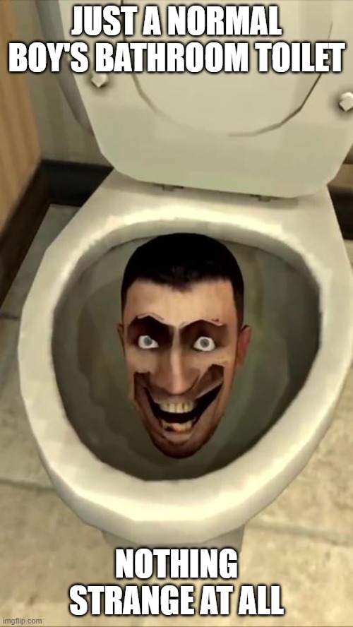 Just a normal toilet.... | JUST A NORMAL BOY'S BATHROOM TOILET; NOTHING STRANGE AT ALL | image tagged in toilet,normal,nothing to see here | made w/ Imgflip meme maker