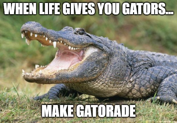 I prefer Prime | WHEN LIFE GIVES YOU GATORS... MAKE GATORADE | image tagged in way too funny gator | made w/ Imgflip meme maker