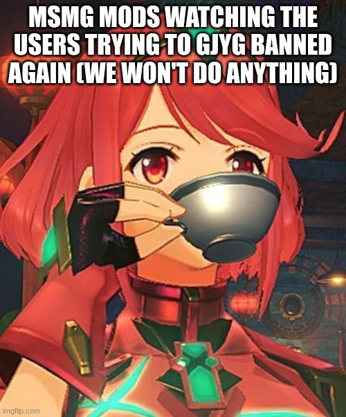 Pyra Tea | MSMG MODS WATCHING THE USERS TRYING TO GJYG BANNED AGAIN (WE WON'T DO ANYTHING) | image tagged in pyra tea | made w/ Imgflip meme maker