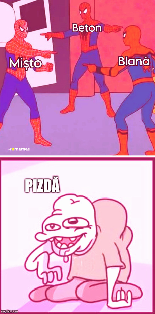 PIZDĂ | made w/ Imgflip meme maker