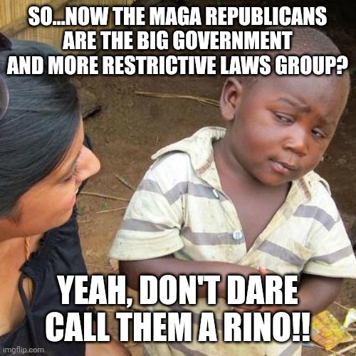 MAGA lemmings.....rotflmao..... | SO...NOW THE MAGA REPUBLICANS ARE THE BIG GOVERNMENT AND MORE RESTRICTIVE LAWS GROUP? YEAH, DON'T DARE CALL THEM A RINO!! | image tagged in memes,third world skeptical kid | made w/ Imgflip meme maker