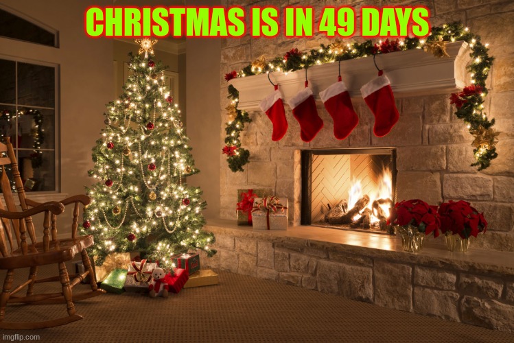 christmas in 49 days | CHRISTMAS IS IN 49 DAYS | image tagged in christmas,merry christmas,funny memes,memes,christmas memes | made w/ Imgflip meme maker