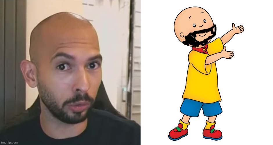 image tagged in andrew tate no bitches,caillou | made w/ Imgflip meme maker