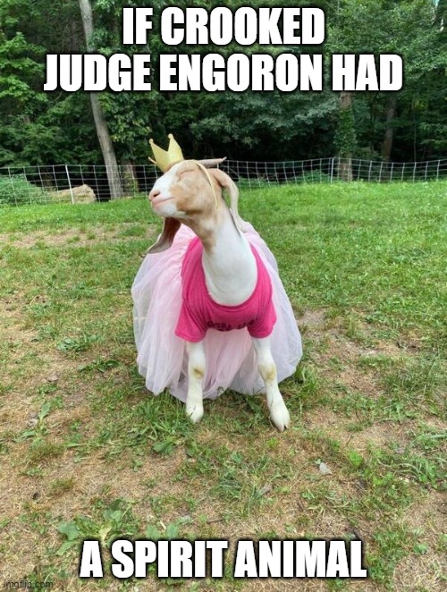Goats | IF CROOKED JUDGE ENGORON HAD; A SPIRIT ANIMAL | image tagged in goats | made w/ Imgflip meme maker