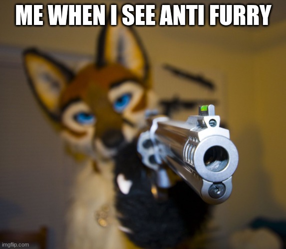 yes | ME WHEN I SEE ANTI FURRY | image tagged in furry with gun | made w/ Imgflip meme maker