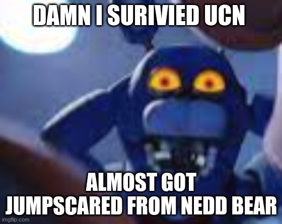 bonnie be wilding | DAMN I SURIVIED UCN; ALMOST GOT JUMPSCARED FROM NEDD BEAR | image tagged in bonnie be wilding | made w/ Imgflip meme maker