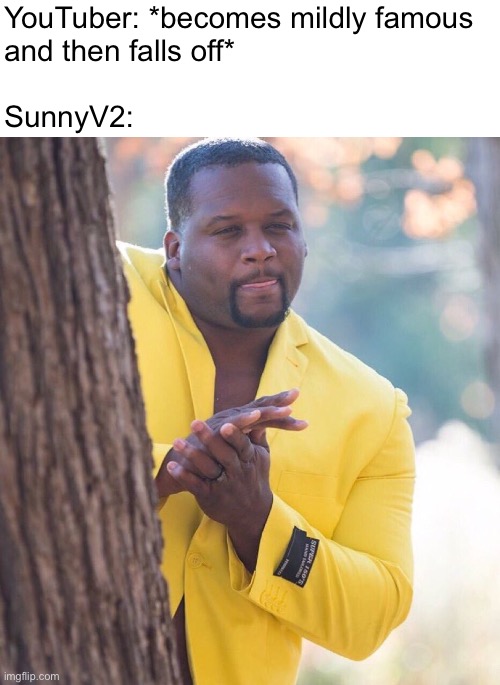 Black guy hiding behind tree | YouTuber: *becomes mildly famous
and then falls off*
 
SunnyV2: | image tagged in black guy hiding behind tree | made w/ Imgflip meme maker