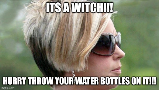 Karen | ITS A WITCH!!! HURRY THROW YOUR WATER BOTTLES ON IT!!! | image tagged in karen | made w/ Imgflip meme maker