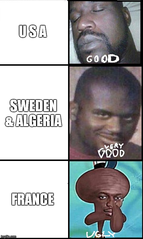 UGLY FRANCE ...................... algeria and sweden is very good  ............... usa is good | U S A; SWEDEN & ALGERIA; FRANCE | image tagged in shoq good very good ugly | made w/ Imgflip meme maker