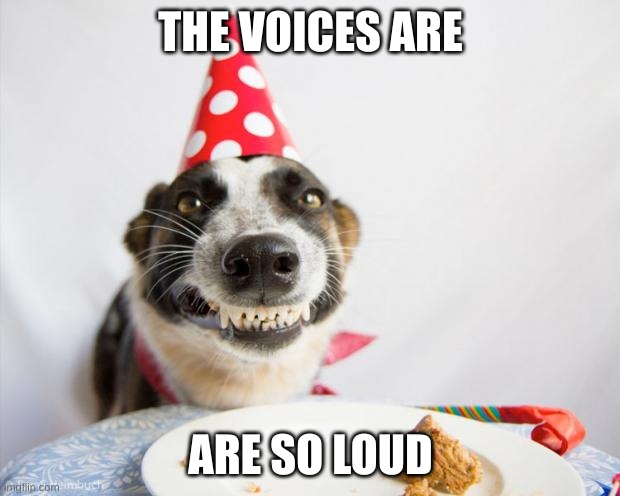 birthday dog | THE VOICES ARE ARE SO LOUD | image tagged in birthday dog | made w/ Imgflip meme maker