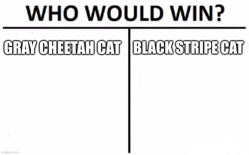 Who Would Win? Meme | GRAY CHEETAH CAT BLACK STRIPE CAT | image tagged in memes,who would win | made w/ Imgflip meme maker