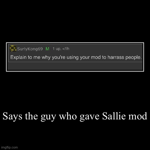 Says the guy who gave Sallie mod | | image tagged in funny,demotivationals | made w/ Imgflip demotivational maker