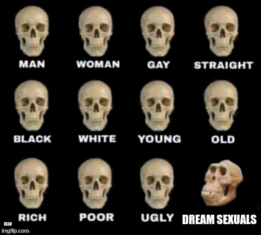 idiot skull | DREAM SEXUALS; ELLO | image tagged in idiot skull | made w/ Imgflip meme maker