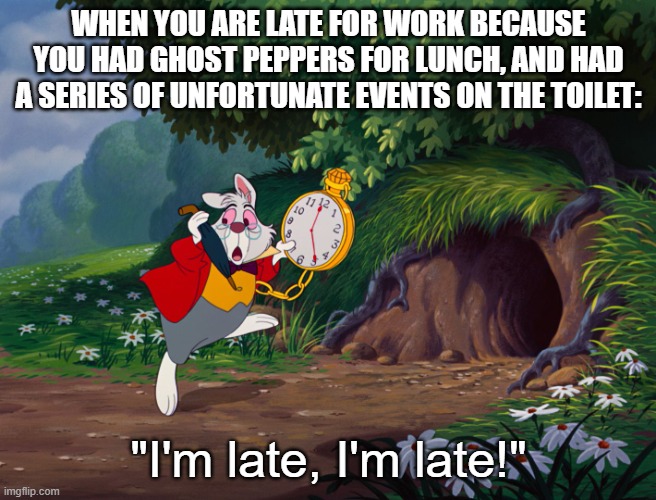 I'm Late I'm Late | WHEN YOU ARE LATE FOR WORK BECAUSE YOU HAD GHOST PEPPERS FOR LUNCH, AND HAD A SERIES OF UNFORTUNATE EVENTS ON THE TOILET: "I'm late, I'm lat | image tagged in i'm late i'm late | made w/ Imgflip meme maker