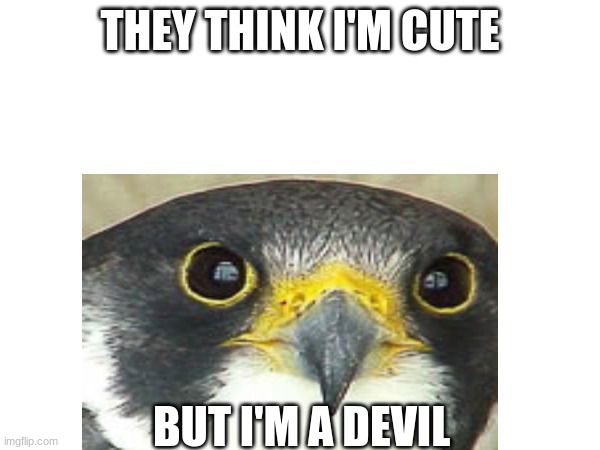 Bruh | THEY THINK I'M CUTE; BUT I'M A DEVIL | made w/ Imgflip meme maker