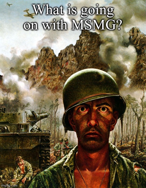 Thousand Yard Stare | What is going on with MSMG? | image tagged in thousand yard stare | made w/ Imgflip meme maker