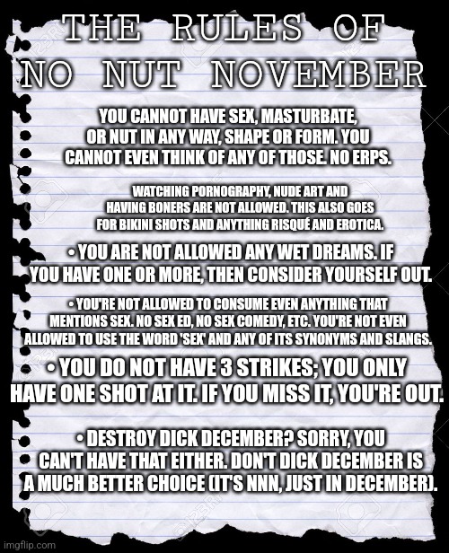 How NNN should be done | THE RULES OF NO NUT NOVEMBER; YOU CANNOT HAVE SEX, MASTURBATE, OR NUT IN ANY WAY, SHAPE OR FORM. YOU CANNOT EVEN THINK OF ANY OF THOSE. NO ERPS. WATCHING PORNOGRAPHY, NUDE ART AND HAVING BONERS ARE NOT ALLOWED. THIS ALSO GOES FOR BIKINI SHOTS AND ANYTHING RISQUÉ AND EROTICA. • YOU ARE NOT ALLOWED ANY WET DREAMS. IF YOU HAVE ONE OR MORE, THEN CONSIDER YOURSELF OUT. • YOU'RE NOT ALLOWED TO CONSUME EVEN ANYTHING THAT MENTIONS SEX. NO SEX ED, NO SEX COMEDY, ETC. YOU'RE NOT EVEN ALLOWED TO USE THE WORD 'SEX' AND ANY OF ITS SYNONYMS AND SLANGS. • YOU DO NOT HAVE 3 STRIKES; YOU ONLY HAVE ONE SHOT AT IT. IF YOU MISS IT, YOU'RE OUT. • DESTROY DICK DECEMBER? SORRY, YOU CAN'T HAVE THAT EITHER. DON'T DICK DECEMBER IS A MUCH BETTER CHOICE (IT'S NNN, JUST IN DECEMBER). | image tagged in blank paper | made w/ Imgflip meme maker