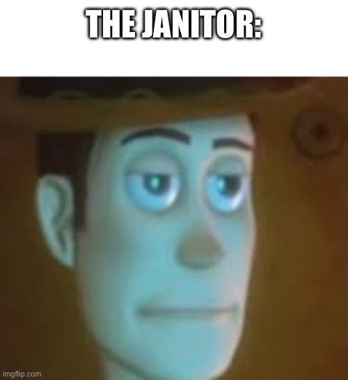 disappointed woody | THE JANITOR: | image tagged in disappointed woody | made w/ Imgflip meme maker