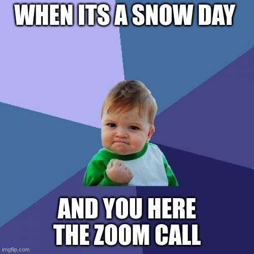 Success Kid | WHEN ITS A SNOW DAY; AND YOU HERE THE ZOOM CALL | image tagged in memes,success kid | made w/ Imgflip meme maker