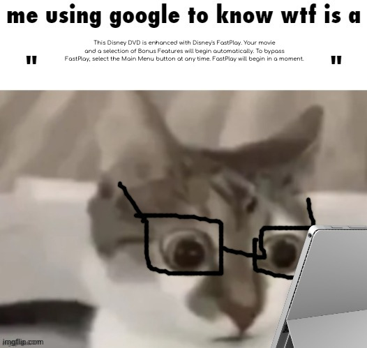 me using google to know wtf is a X | This Disney DVD is enhanced with Disney's FastPlay. Your movie and a selection of Bonus Features will begin automatically. To bypass FastPlay, select the Main Menu button at any time. FastPlay will begin in a moment. | image tagged in me using google to know wtf is a x | made w/ Imgflip meme maker