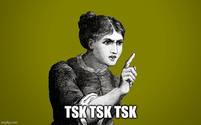 Idk | TSK TSK TSK | image tagged in tsk tsk - woman | made w/ Imgflip meme maker