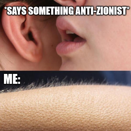 Whisper and Goosebumps | *SAYS SOMETHING ANTI-ZIONIST*; ME: | image tagged in whisper and goosebumps,zionism,antizionism,israel,palestine | made w/ Imgflip meme maker