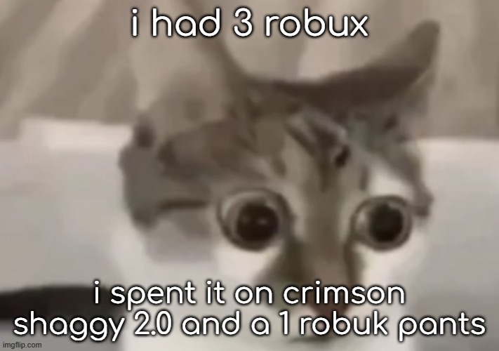 bombastic side eye cat | i had 3 robux; i spent it on crimson shaggy 2.0 and a 1 robuk pants | image tagged in bombastic side eye cat | made w/ Imgflip meme maker