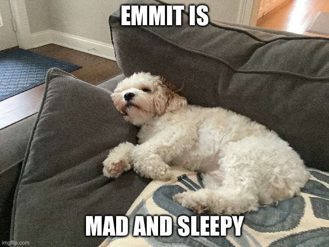 EMMIT IS; MAD AND SLEEPY | made w/ Imgflip meme maker