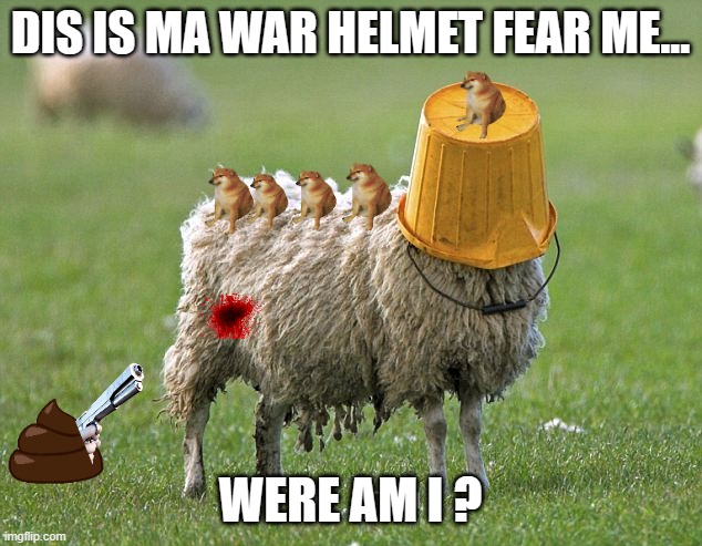 stupid sheep | DIS IS MA WAR HELMET FEAR ME... WERE AM I ? | image tagged in stupid sheep | made w/ Imgflip meme maker