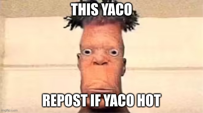 yaco | THIS YACO; REPOST IF YACO HOT | image tagged in yaco | made w/ Imgflip meme maker